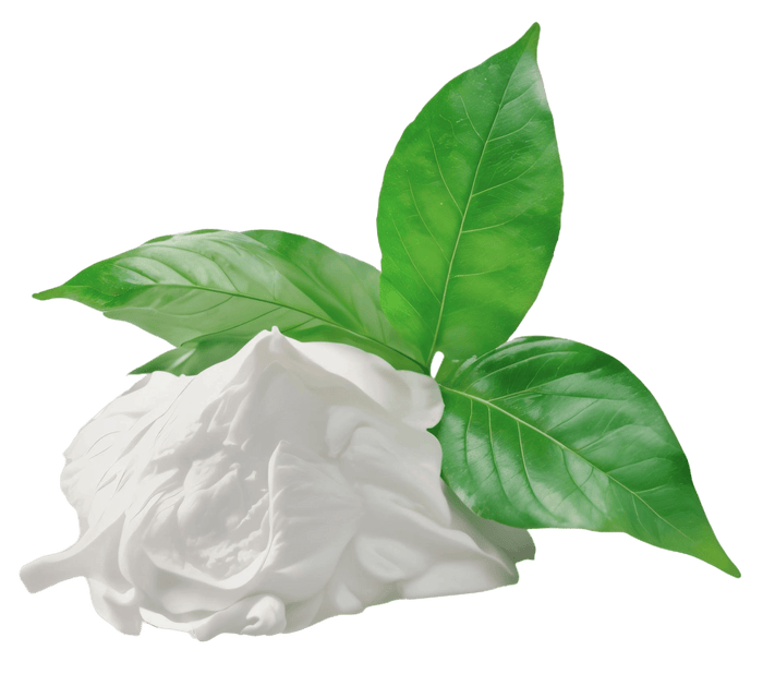 White flower with green leaves.