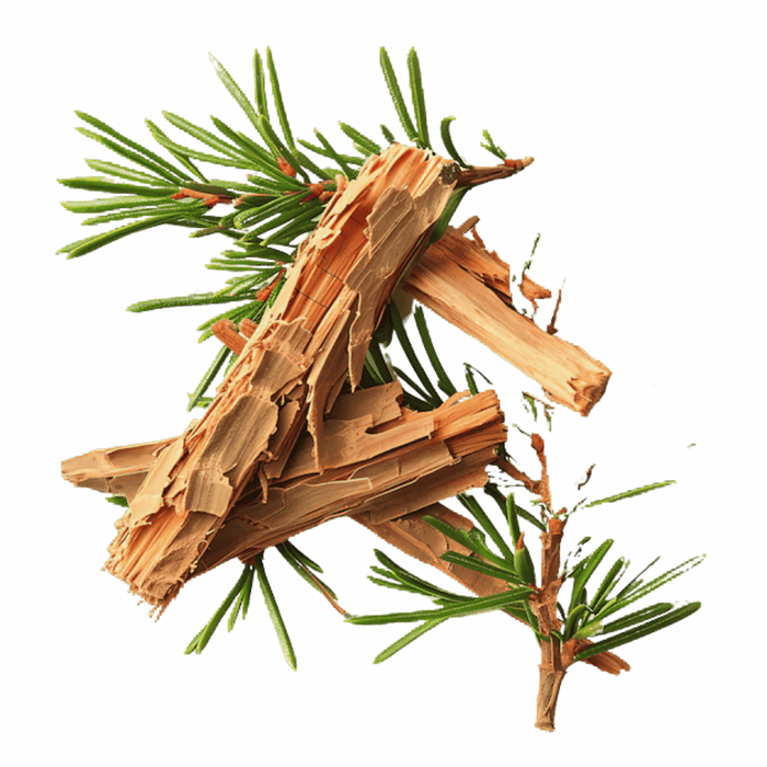 Brown wood pieces and green pine needles on black background.