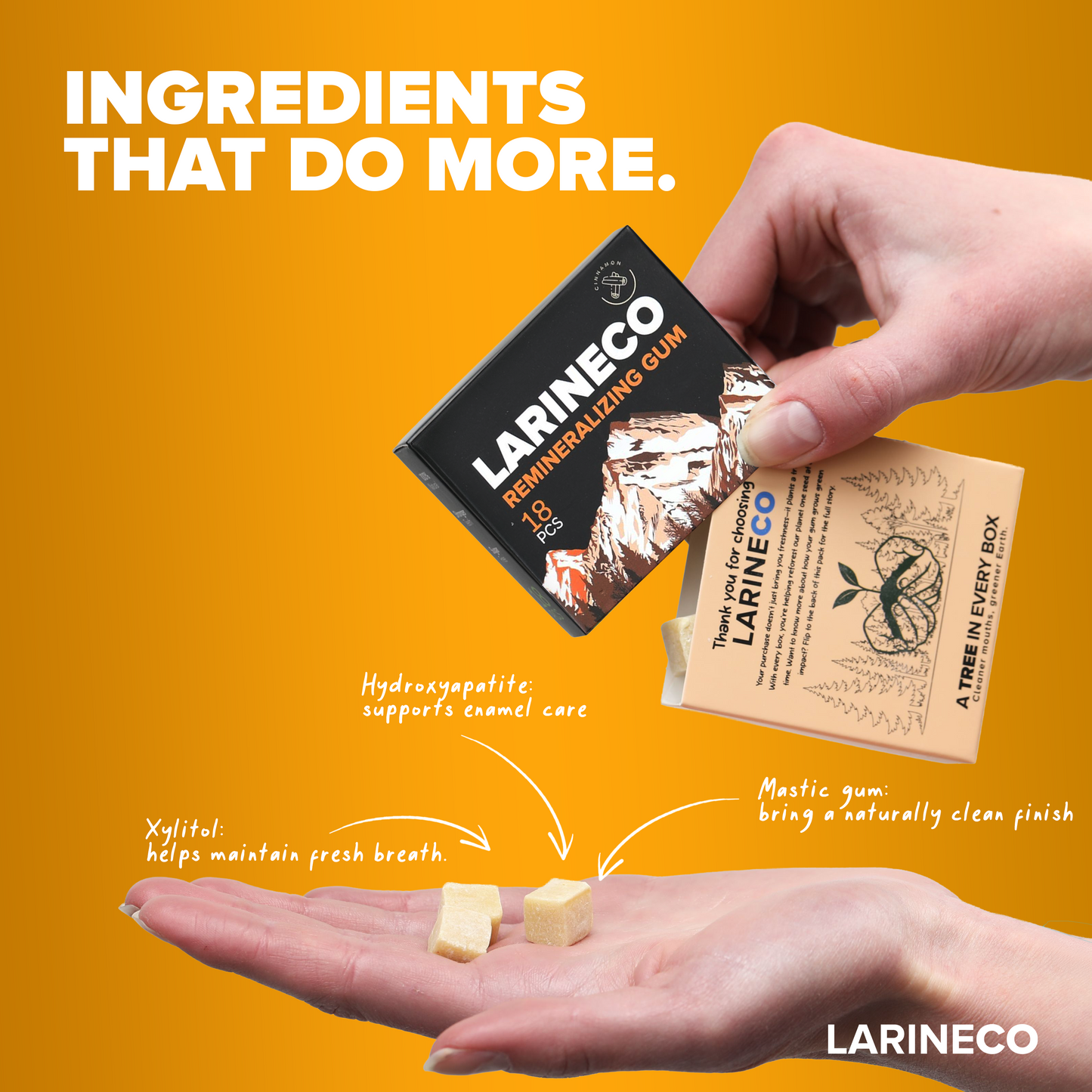 Cinnamon Remineralizing Gum