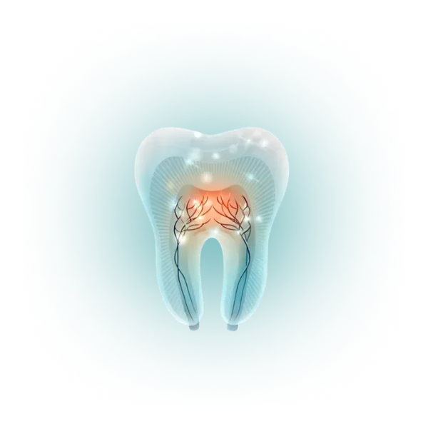 Tooth anatomy diagram, Group_1000006093