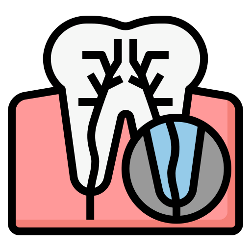 Tooth anatomy diagram for dentist